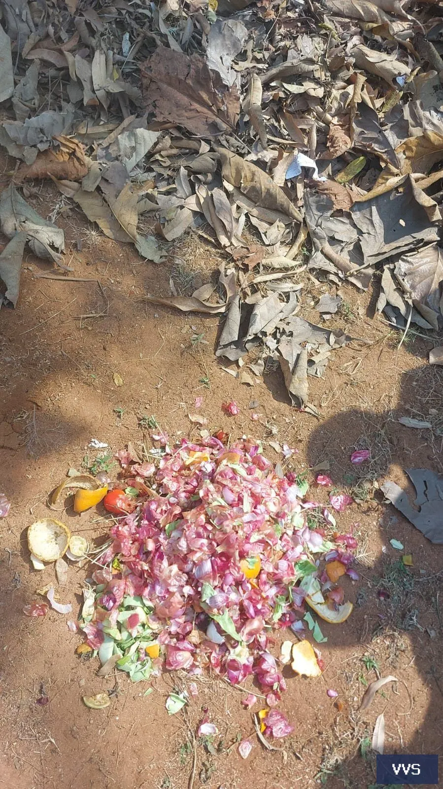 COMPOSTING ACTIVITY — Visakha Valley School — photo 6