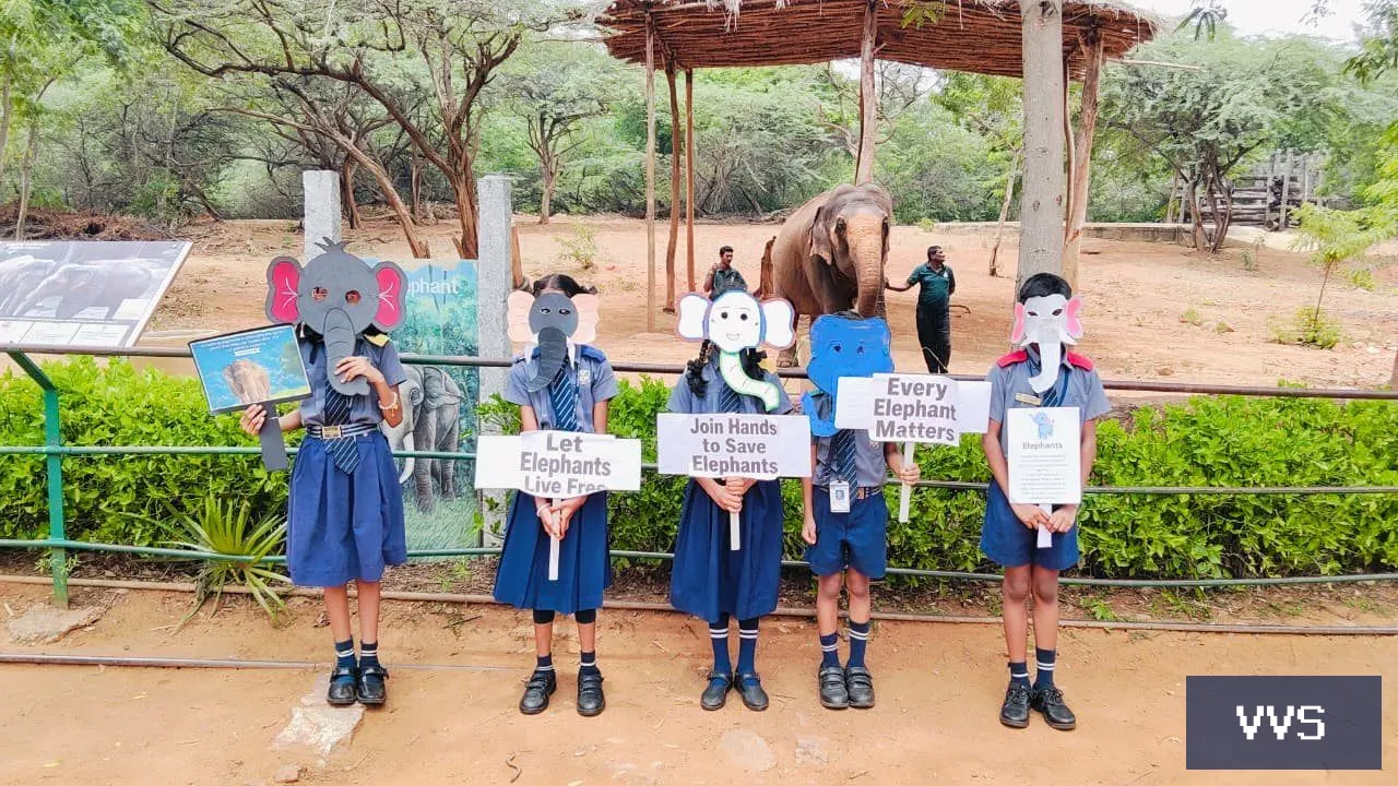 WORLD ELEPHANT DAY-2026 — Visakha Valley School — photo 8