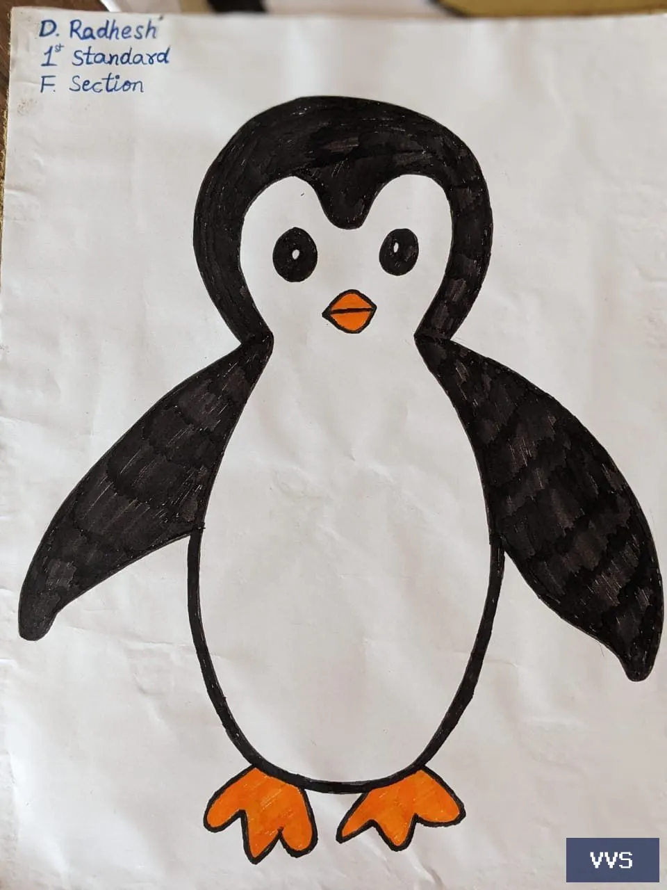 World Penguin Day -2023-2024 — Visakha Valley School — photo 1